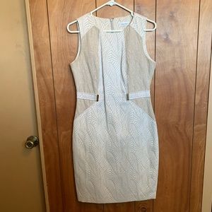 Calvin Klein Dress